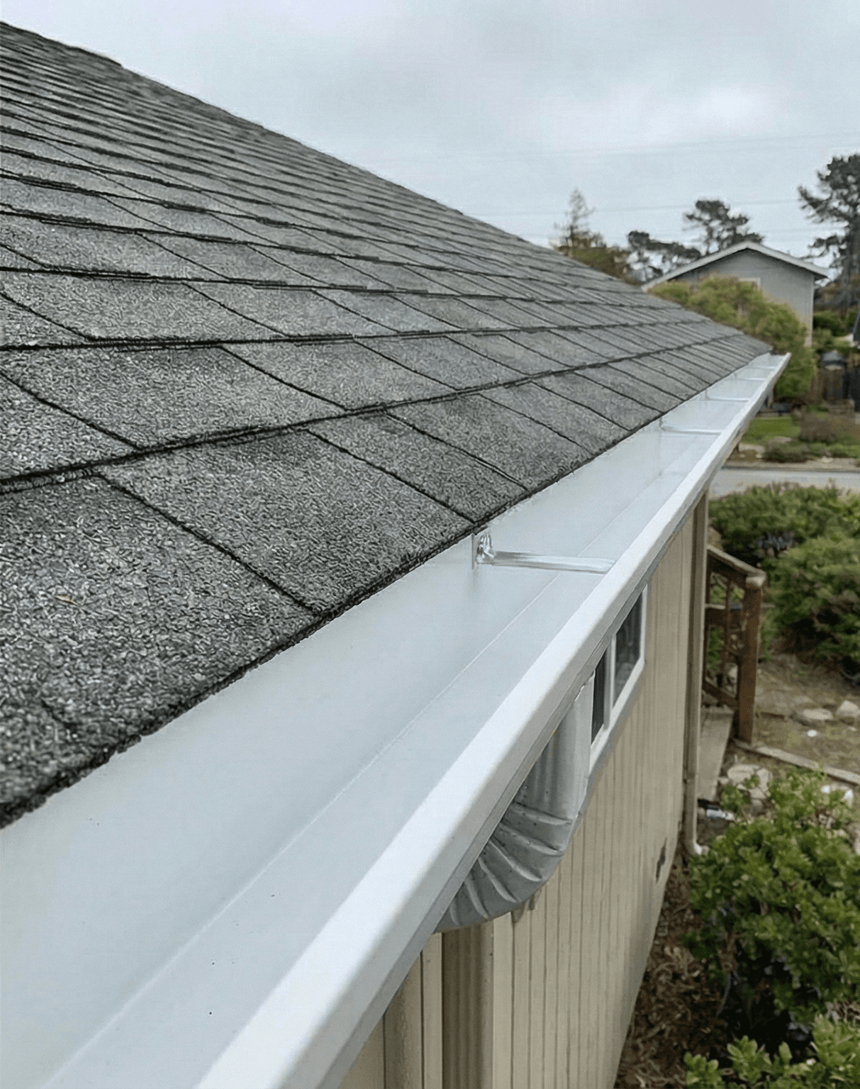 After — Gutter Replacement & Full Clean — Stapleton