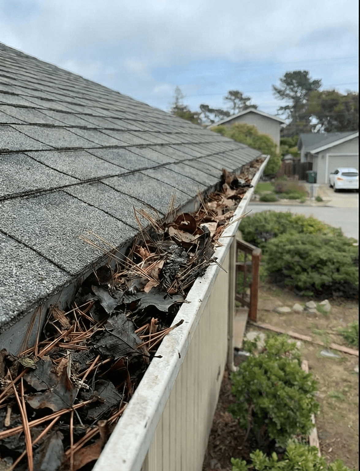 Before — Gutter Replacement & Full Clean — Stapleton