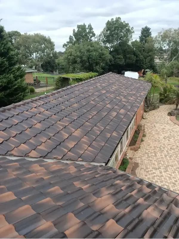 After — Concrete Barrel Tile Roof Restoration & Lichen Treatment