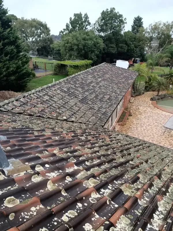 Before — Concrete Barrel Tile Roof Restoration & Lichen Treatment